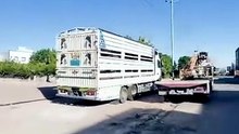 خانوو بۆ فرۆشتن برامبەر باخچە