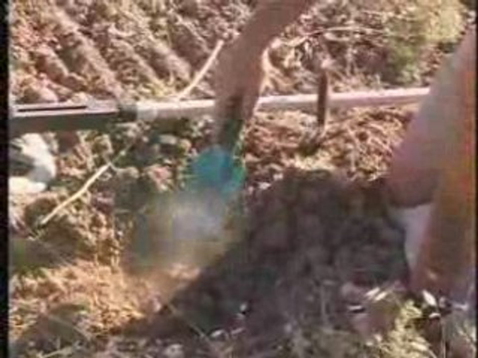 Nusaybin - sınırda mayın temizliği