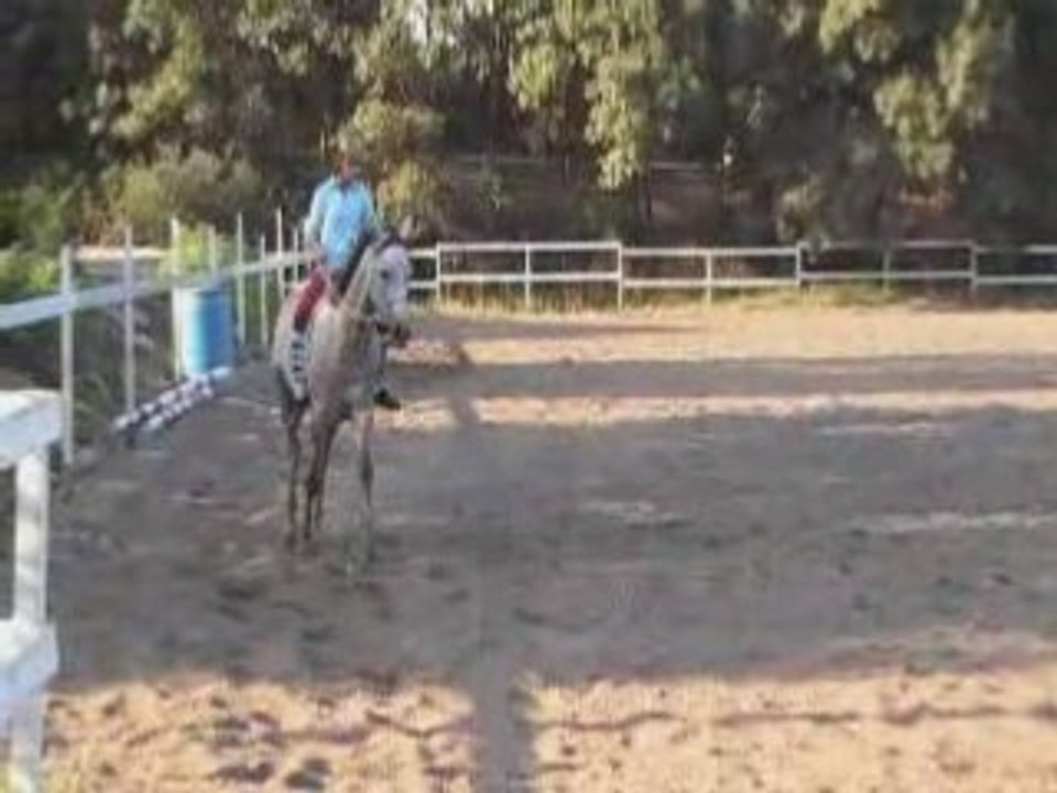 Orane en licol juillet 08