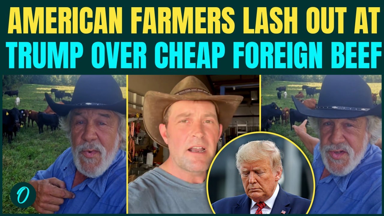 'F**K Trump': American Farmers Blast Trump Over...