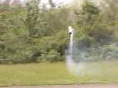 Voltige Hélico Raptor 50 thermique