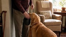 Grandpa forgets a lot these days — so the dog remembers for him 🥹🐾