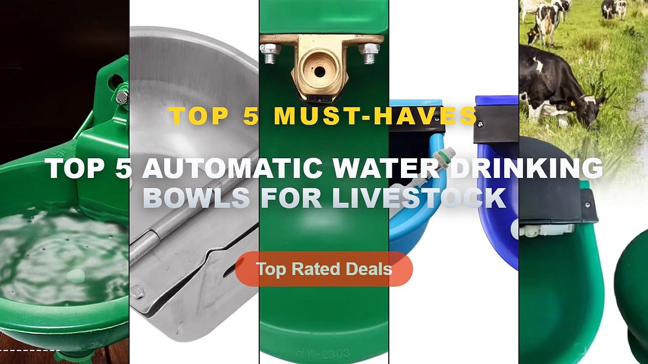 Best Top 5 Automatic Water Drinking Bowls For L...