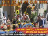 ST ELOI 2008 : Grande Cavalcade