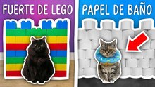 ¡Construí 10 increíbles fuertes para mis gatos!