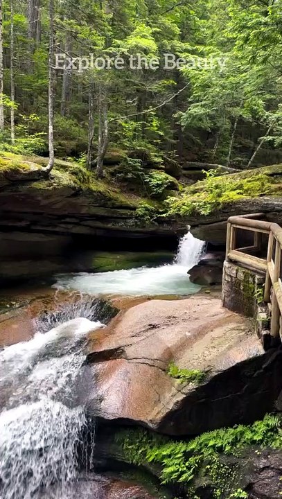 Nature Lovers | Explore the Beauty #lovers