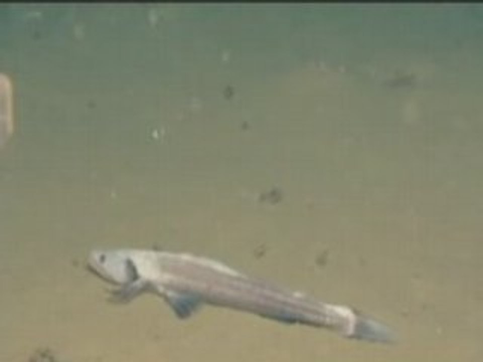 Underwater