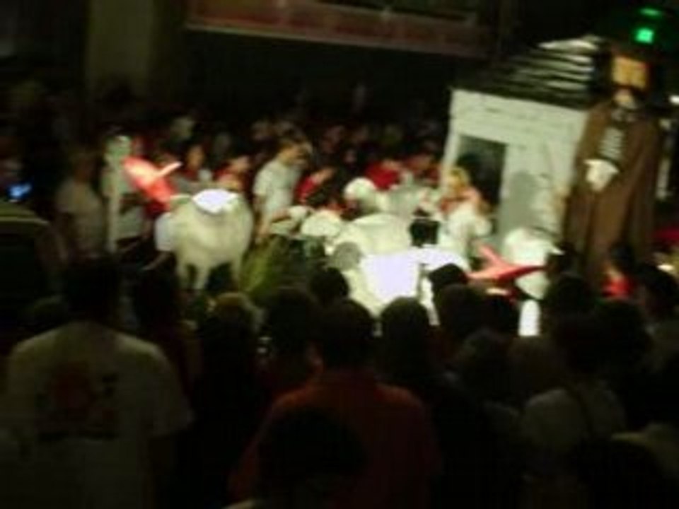 Mont de Marsan :Cavalcade de nuit 2008