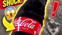 They Put a Coca-Cola Label on This Calf 😂🐄 | What?!