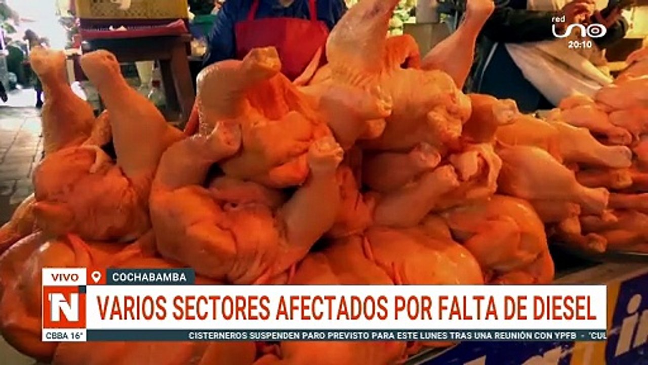 AVICULTORES PREOCUPADOS