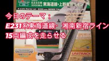 スターターセットの楕円形エンドレスで、E231系東海道線・湘南新宿ラインを走らせる