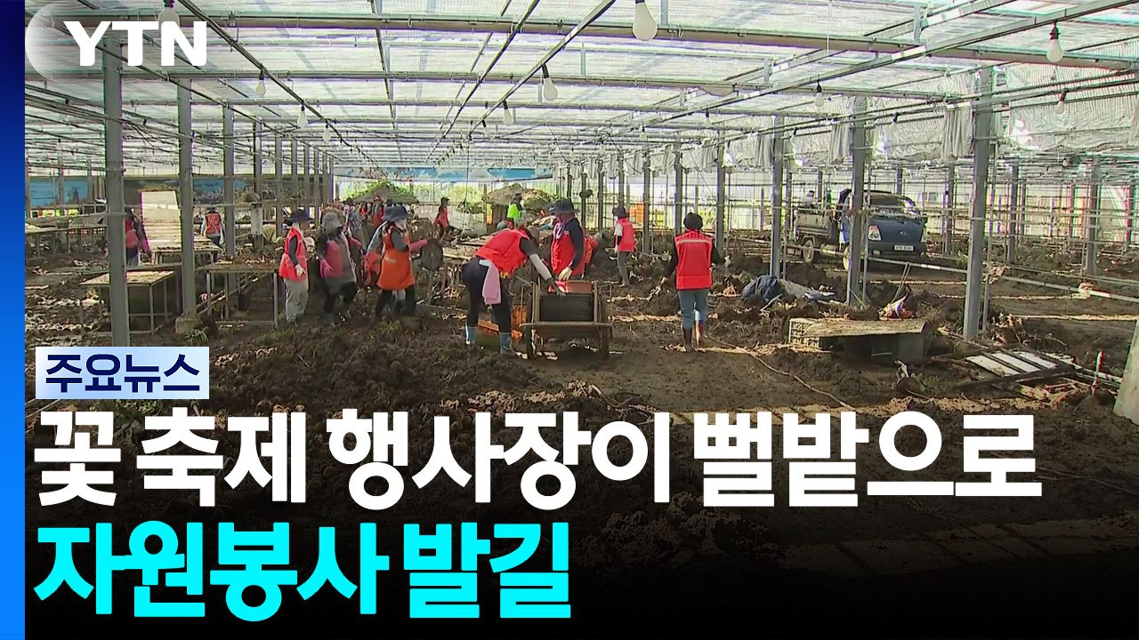 꽃 축제 행사장이 뻘밭으로...자원봉사 발길 / YTN