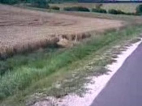 Accident Kawasaki ER-6n