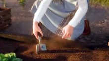 She Found A Mysterious Dial  (Fiction)
