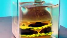 Storing A Big Mac For 250 Years