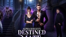 Alpha hayleys destined mate | Full Drama ❤️‍🔥
