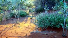 Traditional owners relieved they won’t have to watch another Juukan Gorge disaster