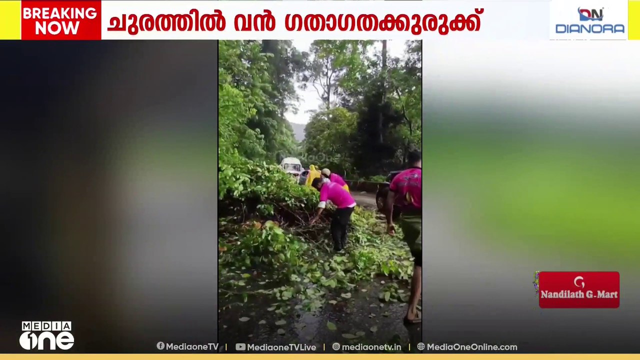 താമരശ്ശേരി ചുരം ഒമ്പതാം വളവിൽ മരക്കൊമ്പ് പൊട്ടി...