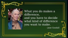 Inspiring Quotes for Your Daily Routine & Success