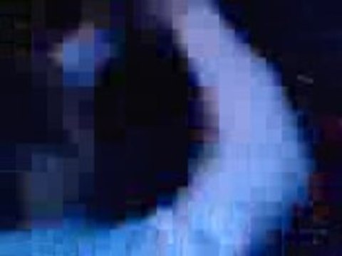 325i & mk2 gti & golk 4 4 motion2