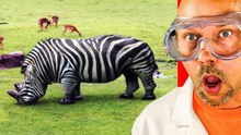 Los animales híbridos más extraños captados en cámara