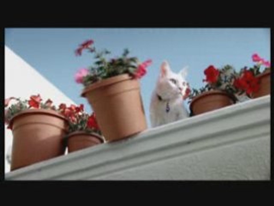 Roger Federer Nationale Suisse Ad