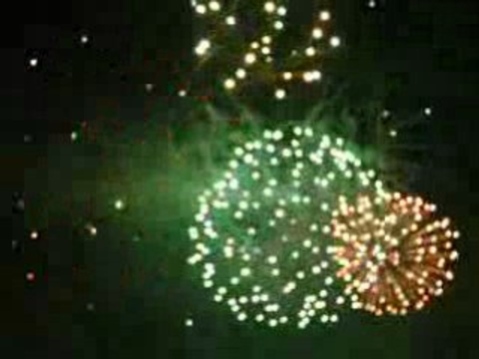 Feu 06