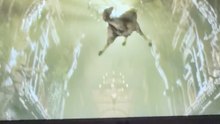 DARK SOULS AVEC UN LOUPS