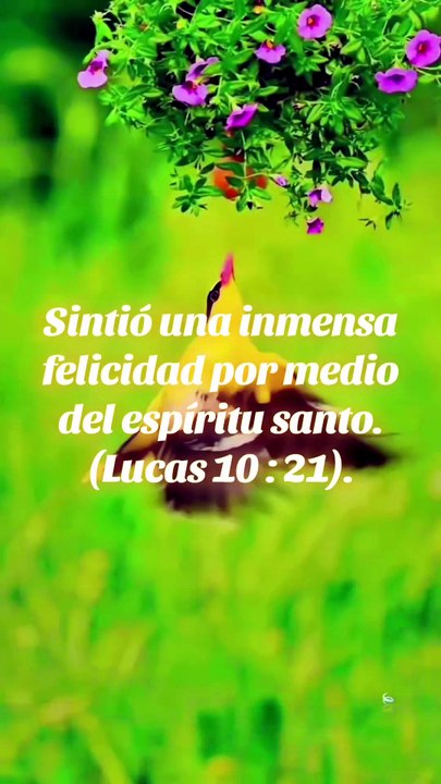 Reflexiones Bíblicas