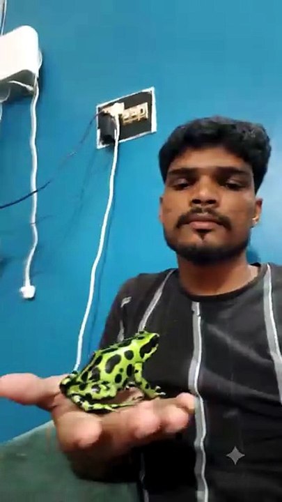 Crazy Poison Dart Frog Toy Prank 🐸😱