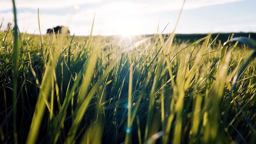 Musique Relaxante pour Se Détendre 🌿 Sommeil Profond, Anti Stress et Méditation