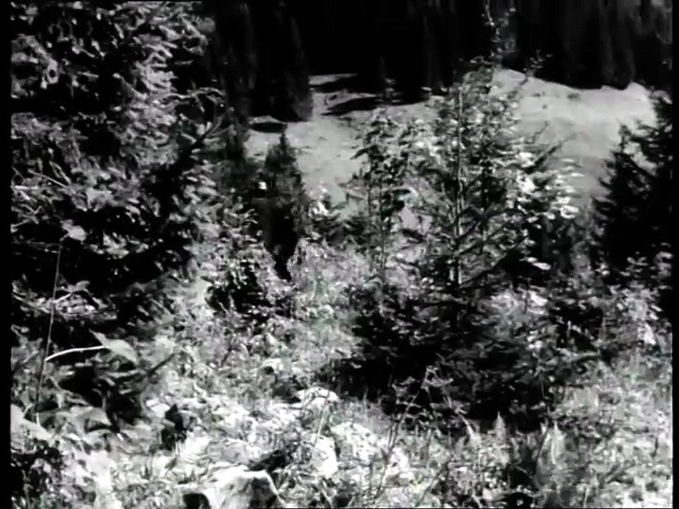 Der Wildschütz von Schliersee - 1951 - od Der letzte Schuss