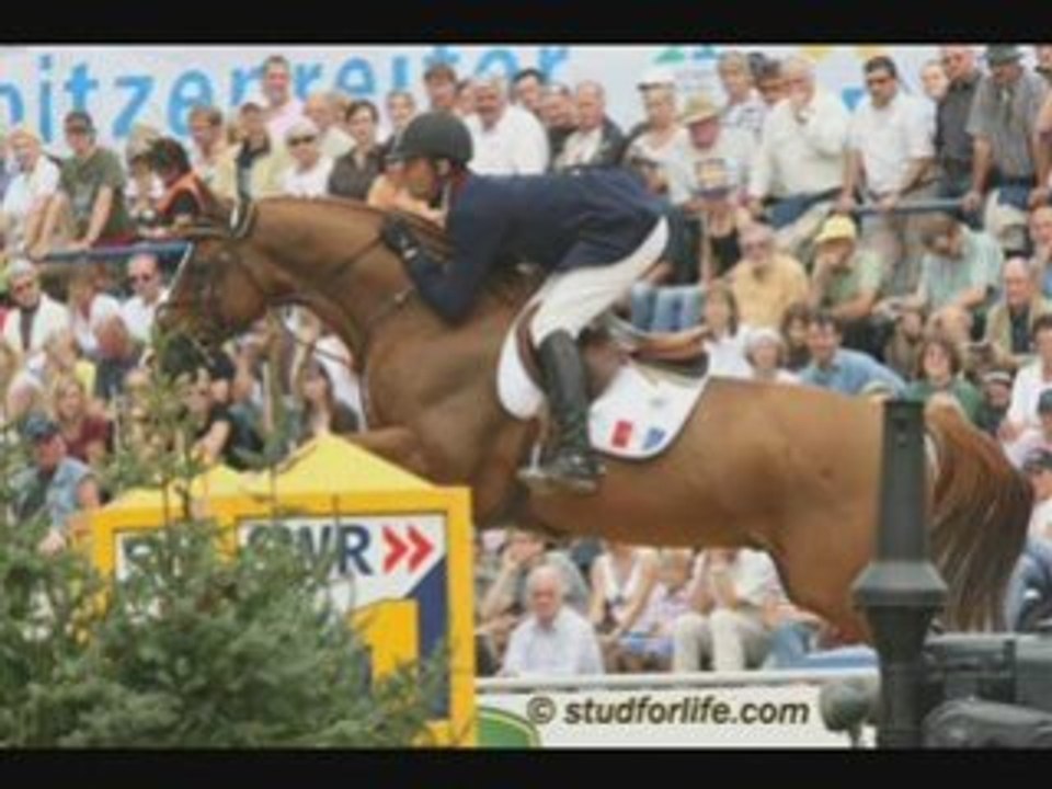 Les chevaux star
