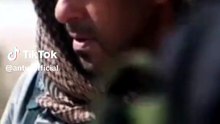 tiger zinda hi
