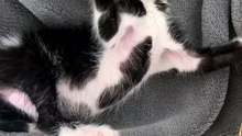 😮😮😮 #viral