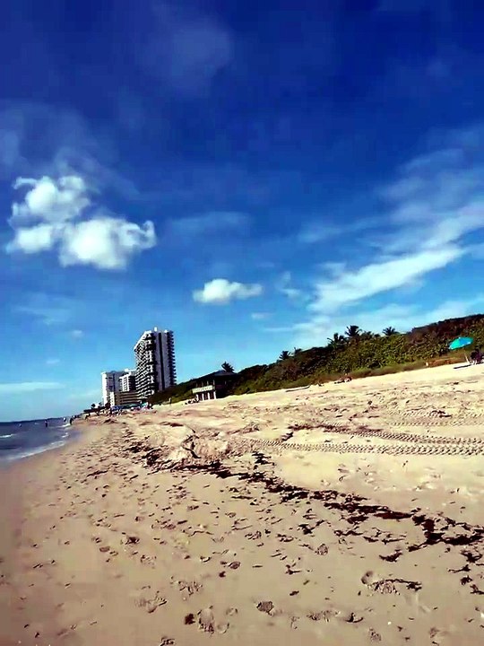 Aeronave amara de emergência em plena praia na Florida. Piloto saiu ilesa