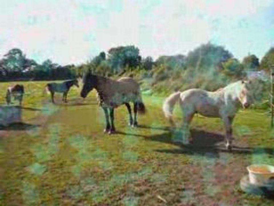 080719 - Résumé en image pour blog