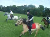 Galop dans les champs près de hoste