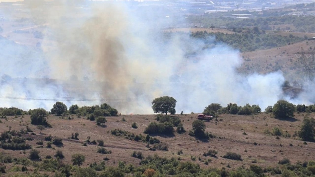 Kocaeli'de ormanlık alanda yangın
