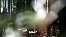 Elena Gilbert the Saviour and the Damned