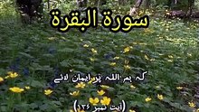Surah Al-Baqarah Ayat 136 (Part 94) | We Believe in Allah and What Was Revealed to Ibrahim, Ismail, Ishaq, Yaqub and the Prophets