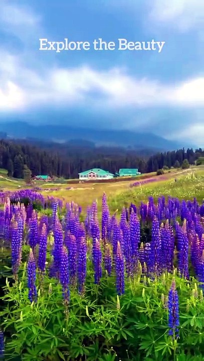 Stunning Landscapes | Explore the Beauty #stunn...