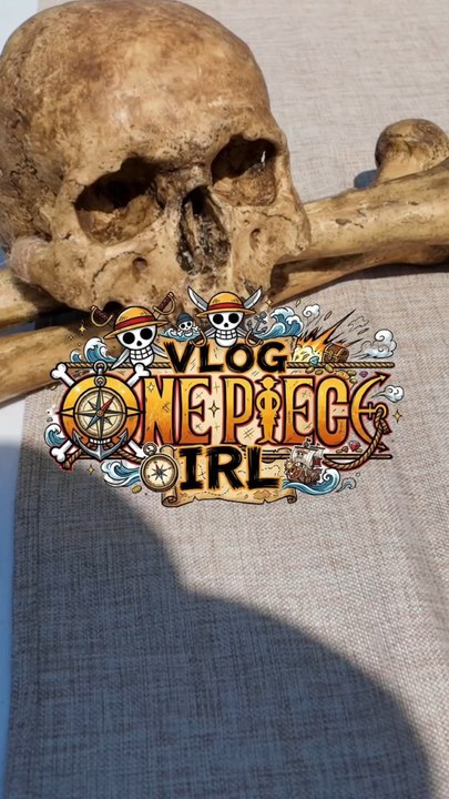 Le one piece irl était trop drôle