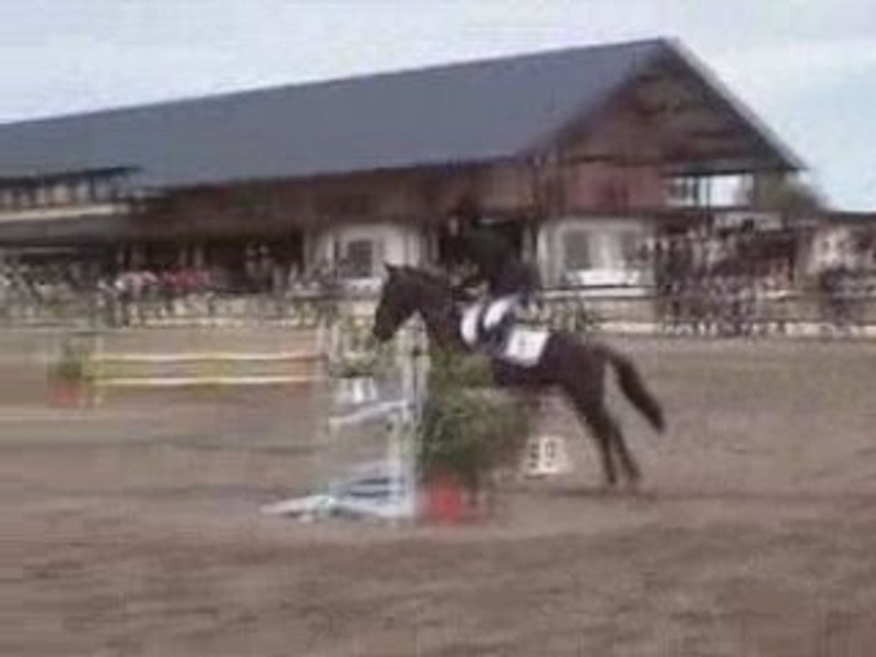 Geoffrey & Mousquetaire Championnat 2008 2