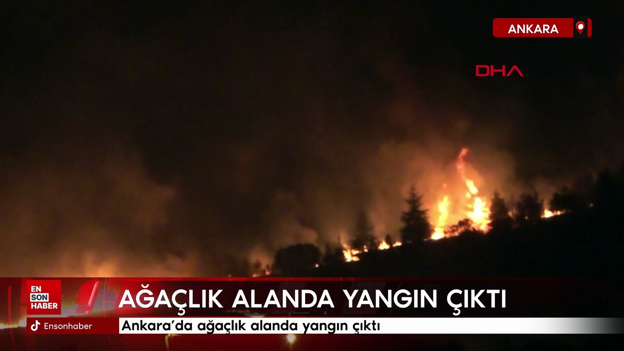 Ankara’da ağaçlık alanda yangın çıktı