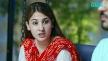 Meray Ranjhna Episode 37   Hina Altaf, Faraz Farooqui, Washma Fatima & Omer Shahzad   Green TV