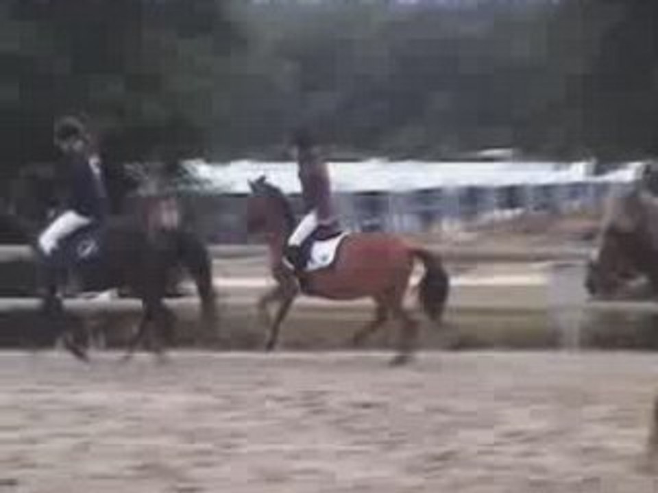Remise des prix Club Poney 2 B Minimes
