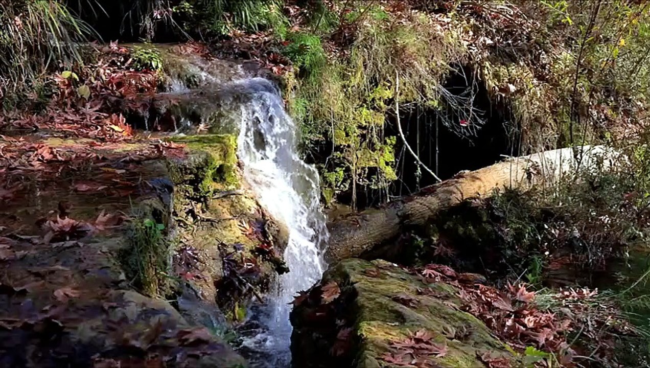 Tranquil Piano Dreams – Soothing Music for Mind and Soul