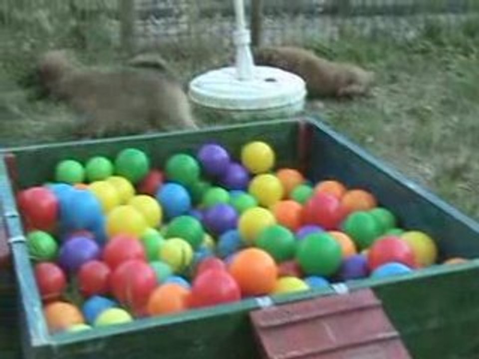 15_07_08_05