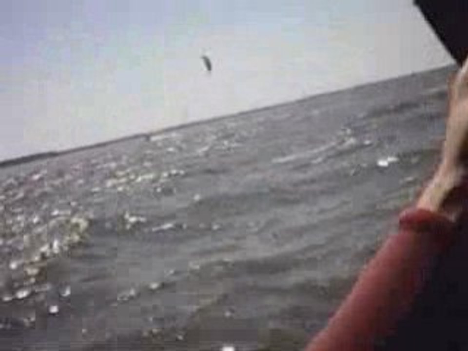 planche à voile en baie de Somme